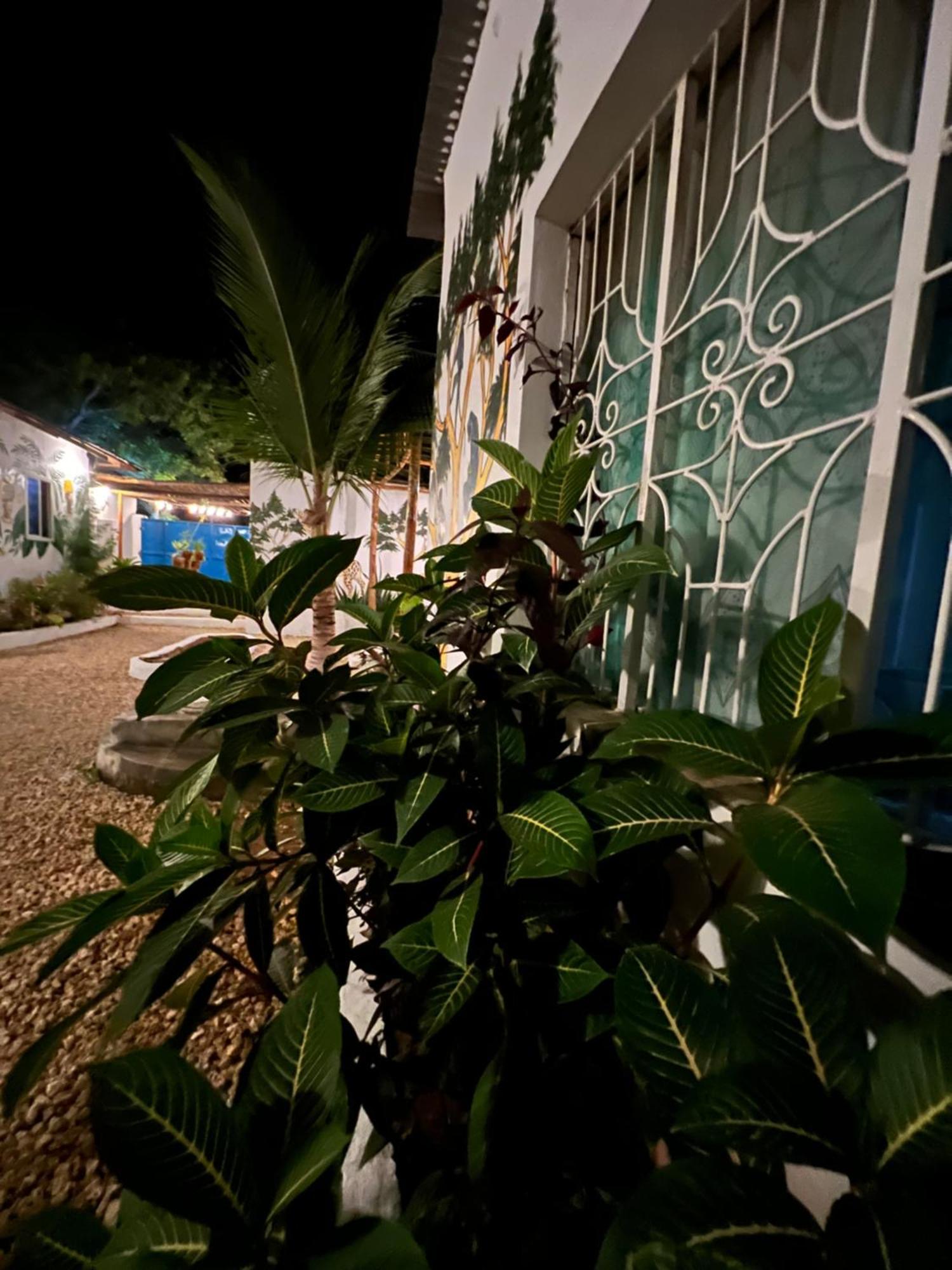 Wannas House Hotell Nungwi Exteriör bild